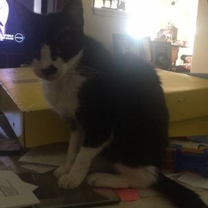 Meet your Posher, Gloria